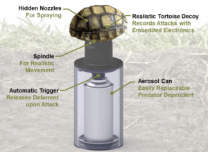 CRG’s tortoise protection training system featured in New Yorker ...